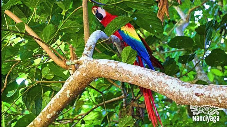 Cabanas Ixaya Catemaco Buitenkant foto