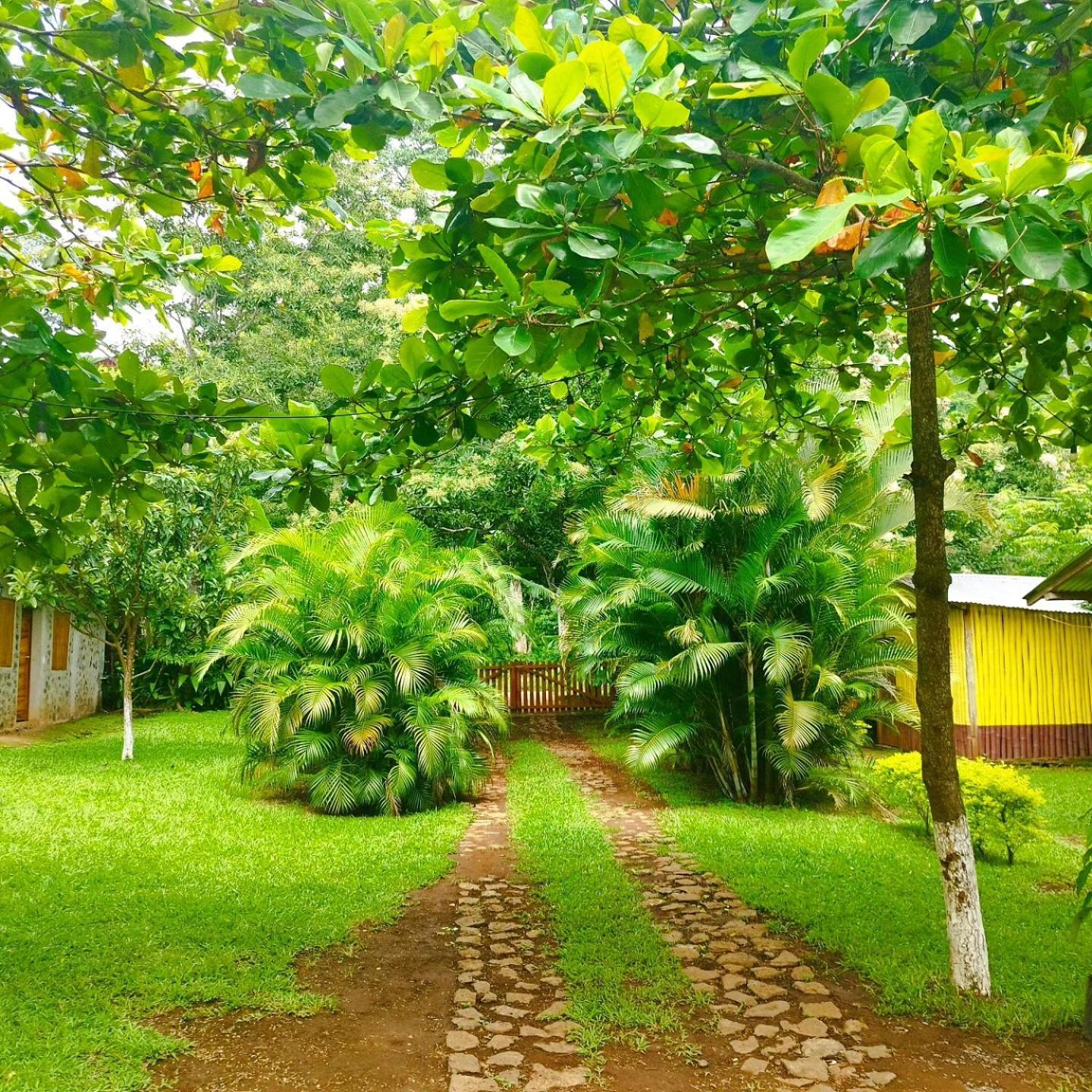 Cabanas Ixaya Catemaco Buitenkant foto