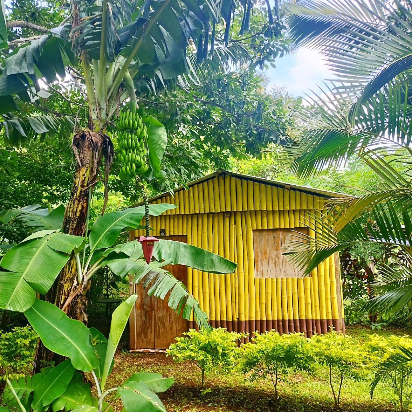 Cabanas Ixaya Catemaco Buitenkant foto